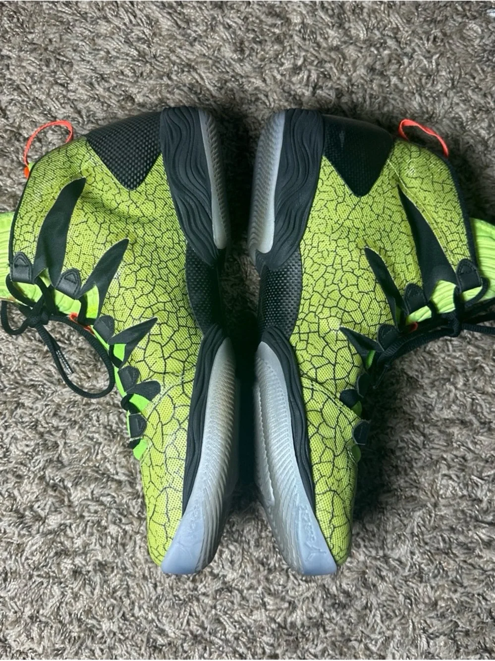 Jordan vibrant neon